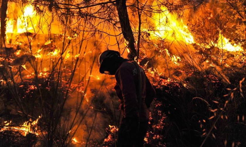 Πορτογαλία: Ένας νεκρός σε πυρκαγιά που μαίνεται στην περιοχή Γκουάρντα