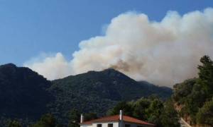Λέσβος: Υπό έλεγχο η φωτιά - Στάχτη εκατοντάδες στρέμματα δάσους (video)
