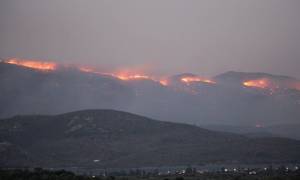 Λέσβος: Μεγαλώνει το μέτωπο της φωτιάς - Ισχυροί άνεμοι στην περιοχή (video)