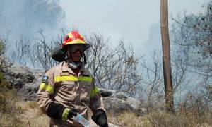 Aχαΐα: Φωτιά σε αγροτική έκταση - Δεν απειλούνται κατοικίες (video)