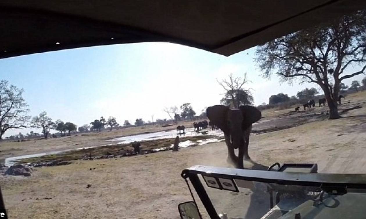 Εξαγριωμένος ελέφαντας επιτίθεται σε τουρίστες και αναποδογυρίζει το όχημά τους (video)