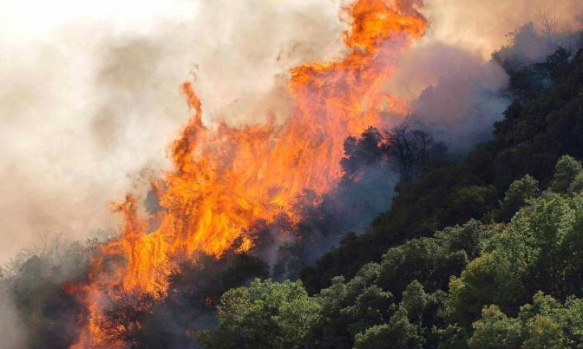 «Συναγερμός» στην Πυροσβεστική - Μεγάλη πυρκαγιά στη Μεσσηνία