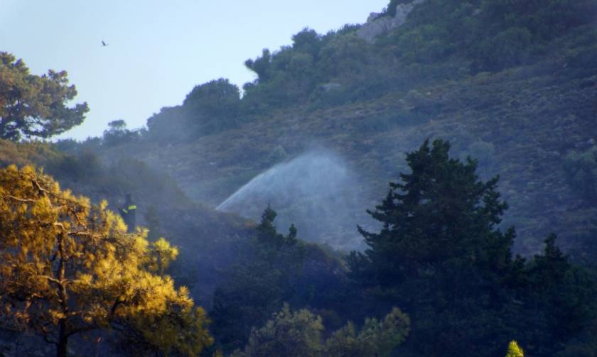 Συναγερμός στην Πυροσβεστική – Πυρκαγιά με δυο εστίες στην Κορώνη