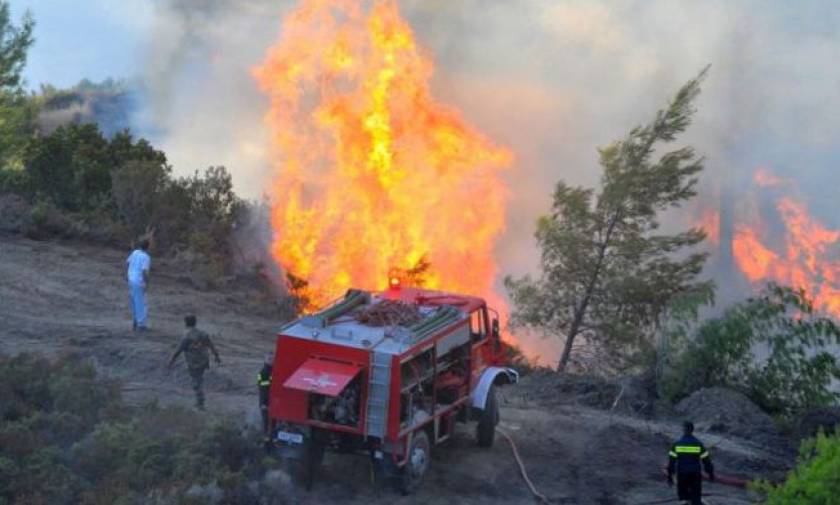 Μεγάλη πυρκαγιά στο Ελληνικό Γορτυνίας - Ενισχύονται οι πυροσβεστικές δυνάμεις