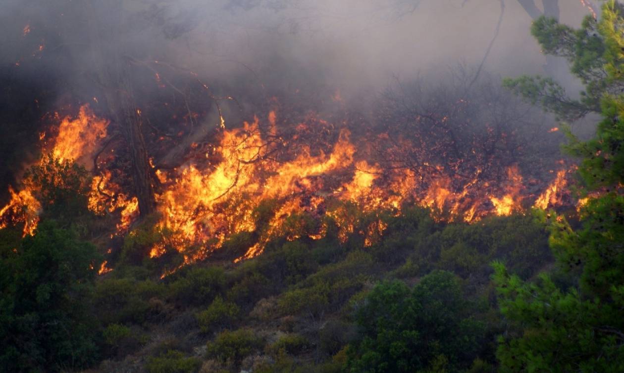Σε αυξημένη ετοιμότητα επτά νομοί της χώρας λόγω υψηλού κινδύνου πυρκαγιάς