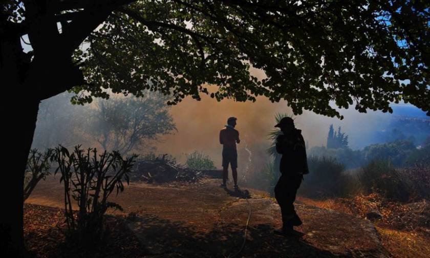 Λασίθι: Σε ύφεση η πυρκαγιά στη Σητεία - Στάχτη έγιναν 5.000 στρέμματα