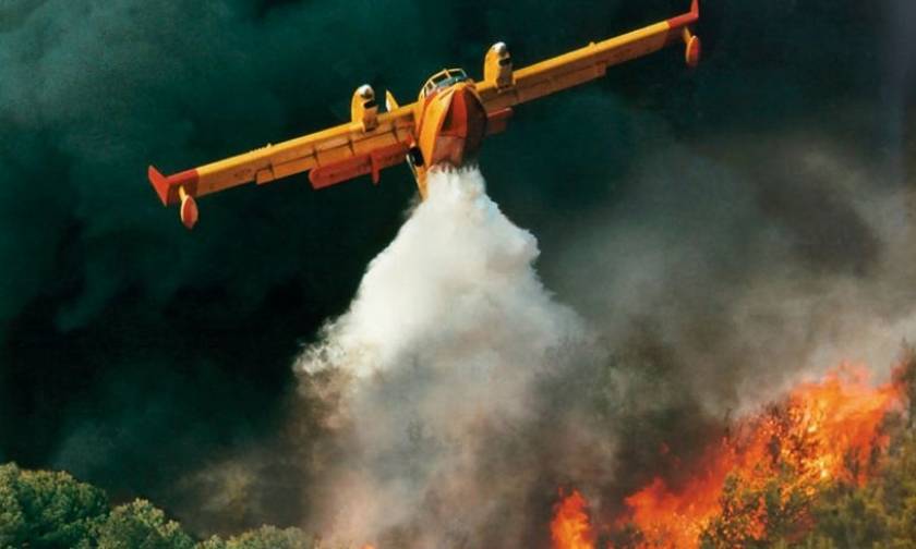 «Συναγερμός» στην Πυροσβεστική - Μεγάλη φωτιά στη Βοιωτία
