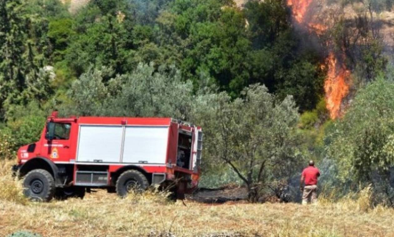 Κέρκυρα: Υπό μερικό έλεγχο η πυρκαγιά στην Αχαράβη