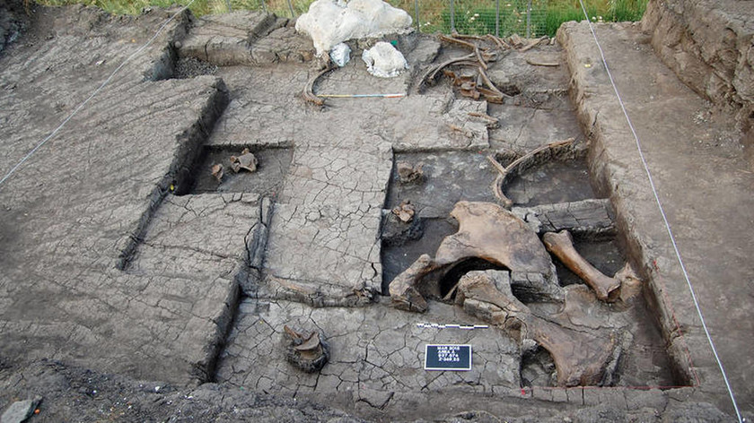  Μεγαλόπολη Αρκαδίας: Εντοπίστηκε σκελετός ελέφαντα της Κατώτερης Παλαιολιθικής Περίοδου (pic)