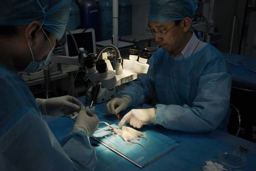 Στην Κίνα η πρώτη μεταμόσχευση… κεφαλιού σε άνθρωπο! (videos+photos)