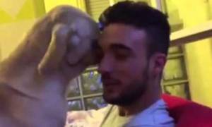 Τρελαίνει το διαδίκτυο: Σκύλος ικετεύει το αφεντικό του να τον συγχωρέσει! (video)