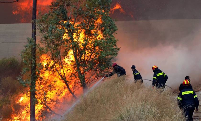Ηλεία: Σε εξέλιξη πυρκαγιά στην περιοχή Μπόρσι Ανδραβίδας
