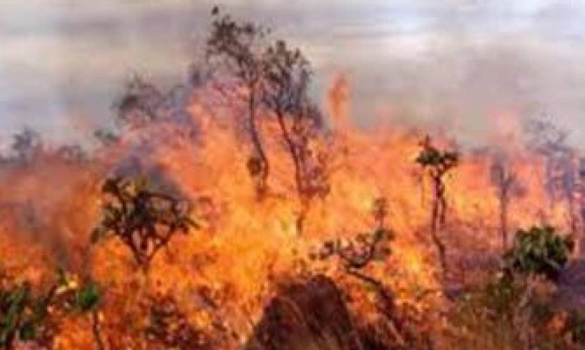 Λεμεσός: Πυρκαγιά εκτός ελέγχου