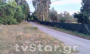 Φθιώτιδα: Βρέθηκαν καλάσνικοφ στην αγροικία - κρησφύγετο του Πετρακάκου