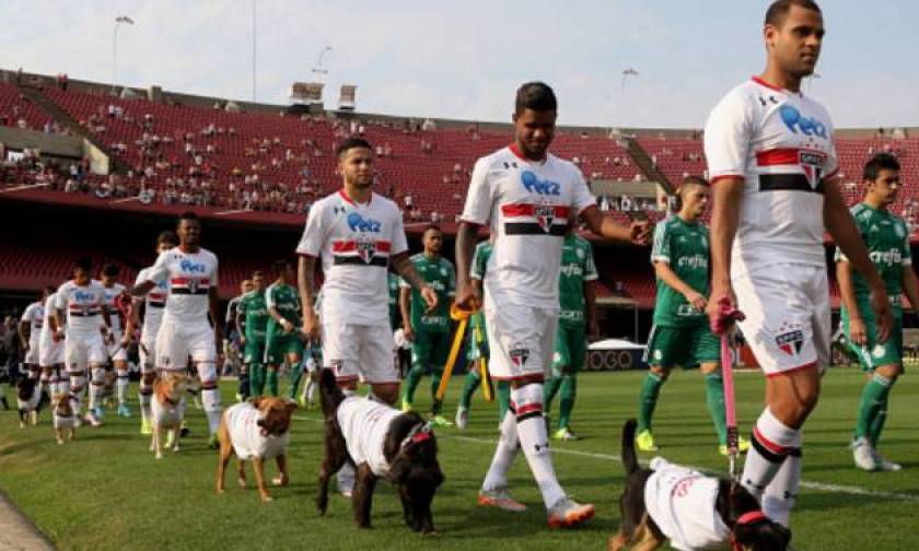 Παρέα με σκυλιά παρατάχθηκαν οι παίκτες της Σάο Πάολο