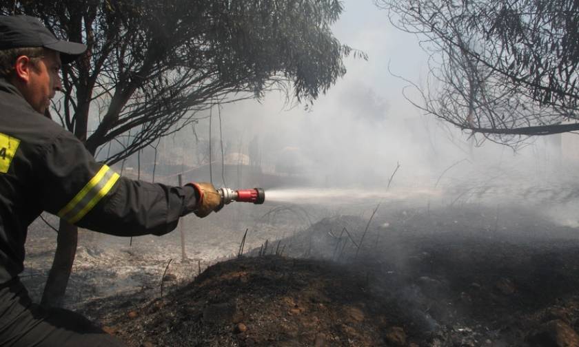 Ηράκλειο Κρήτης: Σε ύφεση η πυρκαγιά στο Καλό Χωριό Πεδιάδας