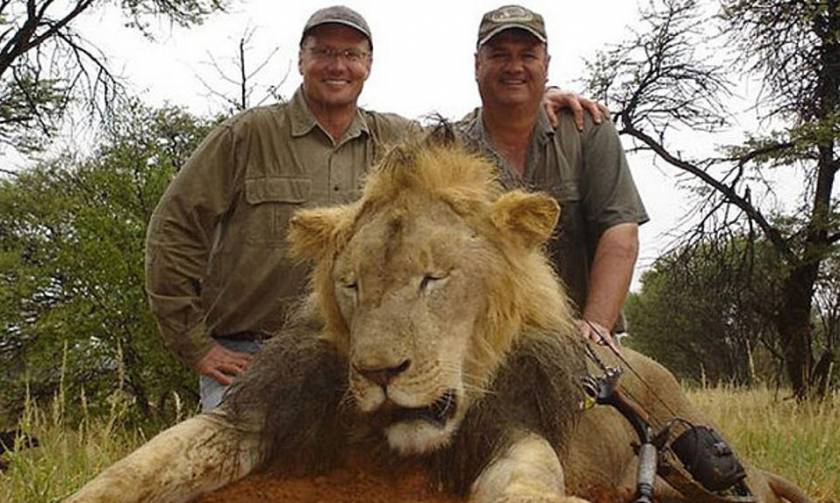 Ζιμπάμπουε: Δεν θα διωχθεί ο οδοντίατρος που σκότωσε το λιοντάρι Σέσιλ