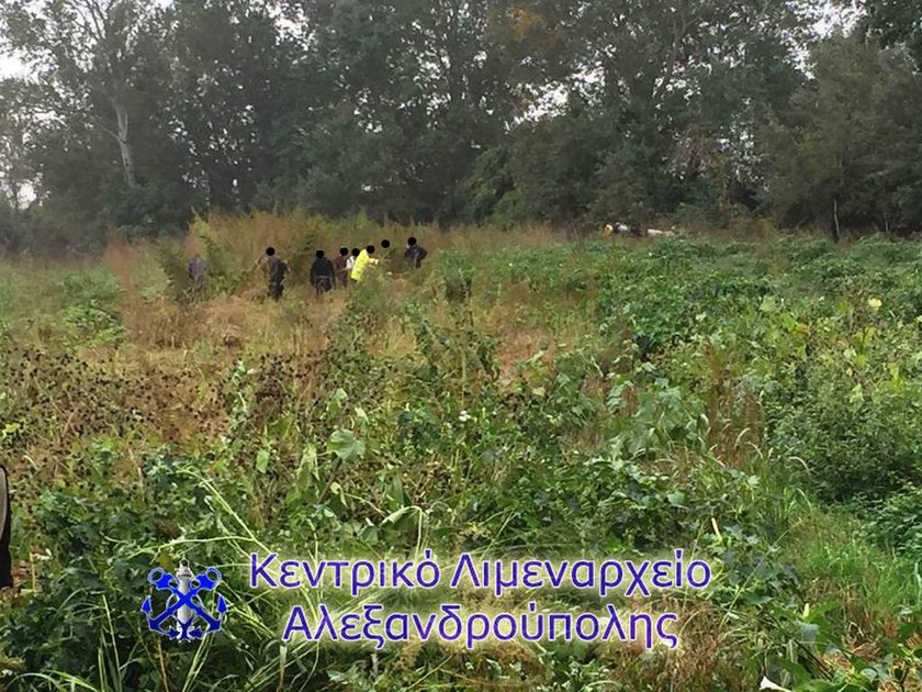 Αλεξανδρούπολη: Άντρες του λιμεναρχείου εντόπισαν φυτεία κάνναβης με 3.000 δενδρύλλια