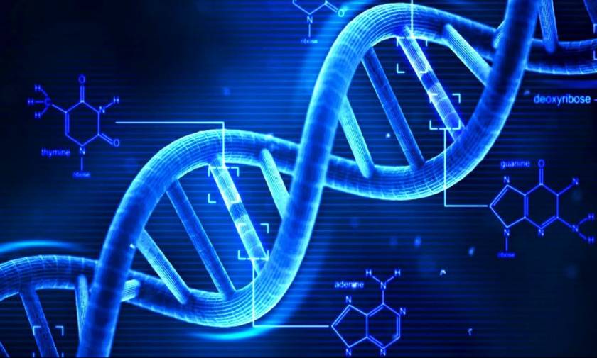 Η διπλή έλικα του DNA δεν είναι μόνο όπως την ξέρουμε: Παίρνει και διάφορα σχήματα!
