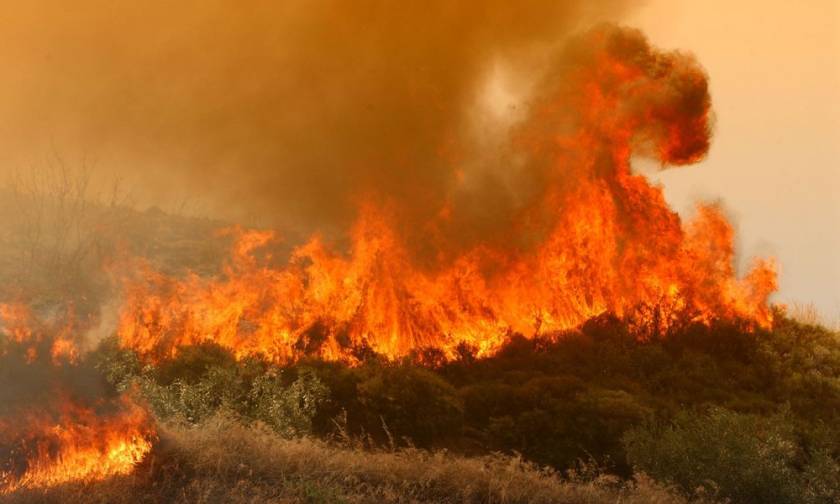 Εκτός ελέγχου πυρκαγιά σε εργοστάσιο της Κύπρου