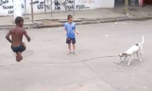 Απίστευτος σκύλος παίζει… σχοινάκι! (video)