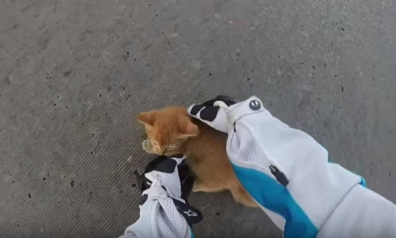 Μηχανόβια σώζει γατάκι από βέβαιο θάνατο (video)