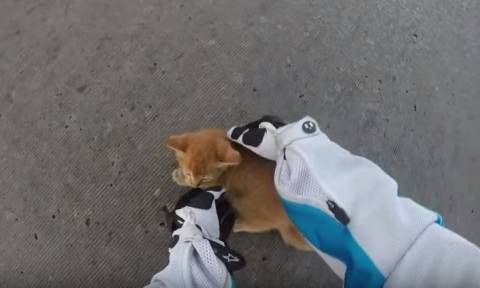 Μηχανόβια σώζει γατάκι από βέβαιο θάνατο (video)