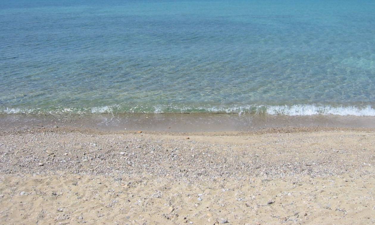Το εύρημα που τάραξε την παραλία του Ακτίου (photos)