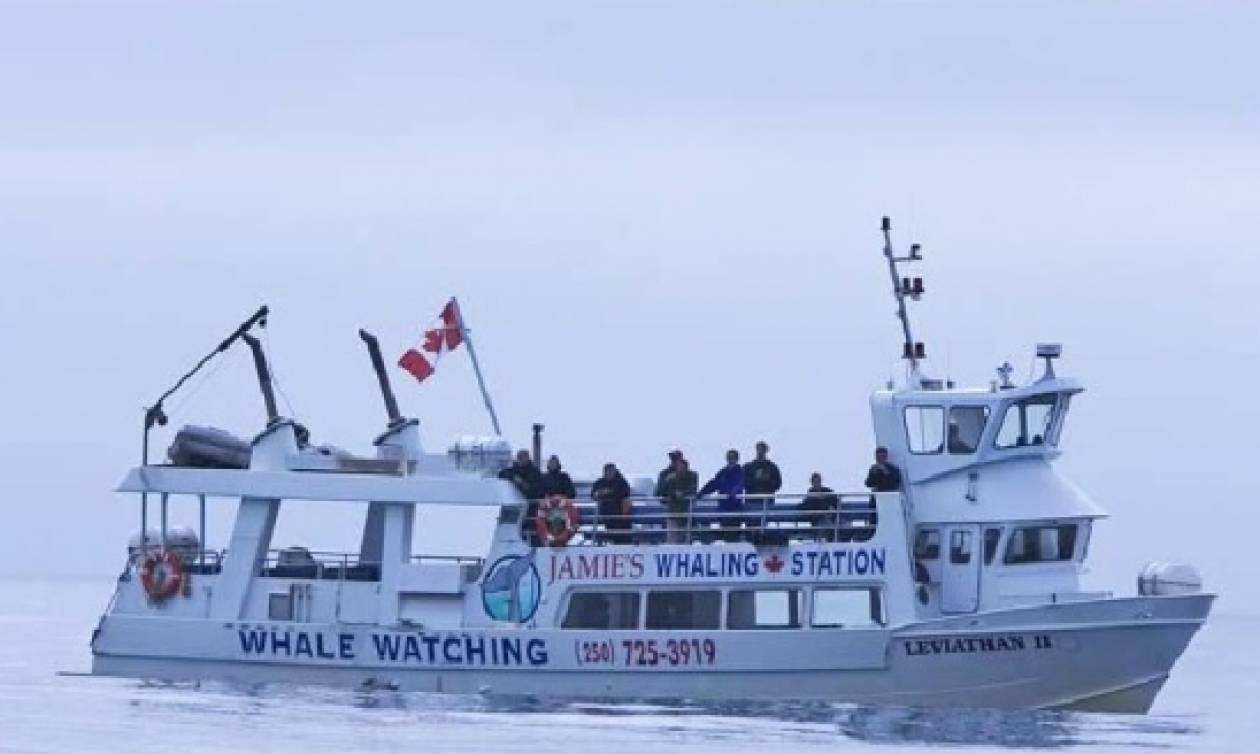 Καναδάς: Πέντε νεκροί κι ένας αγνοούμενος από τη βύθιση πλοίου παρατήρησης φαλαινών (video)