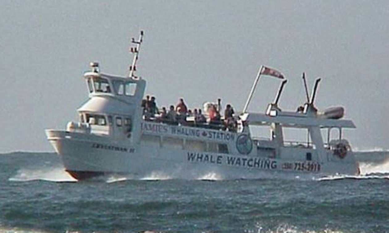 Καναδάς: «Το πλοίο βυθίστηκε πριν καν το πλήρωμα προλάβει να στείλει σήμα κινδύνου» (video)