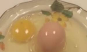 Χανιά: Χαμός στο Facebook… αυγό «γέννησε» αυγό! (video)