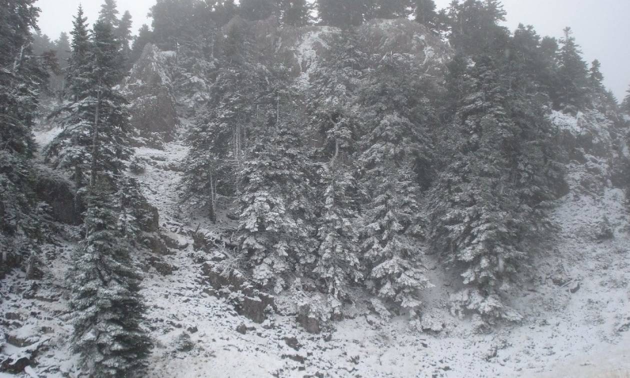 Άσπρισε ο Παρνασσός - Ήρθαν τα πρώτα χιόνια (photos)