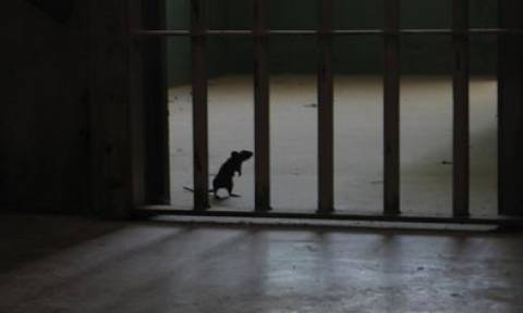 Ο Μίκι Μάους «βαποράκι» στις φυλακές της Βραζιλίας (video)