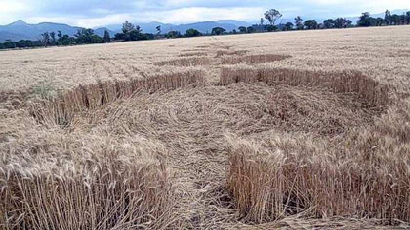 Μυστηριώδη σχήματα σε καλλιέργειες αναστατώνουν τους κατοίκους της Αργεντινής (pics+vid)