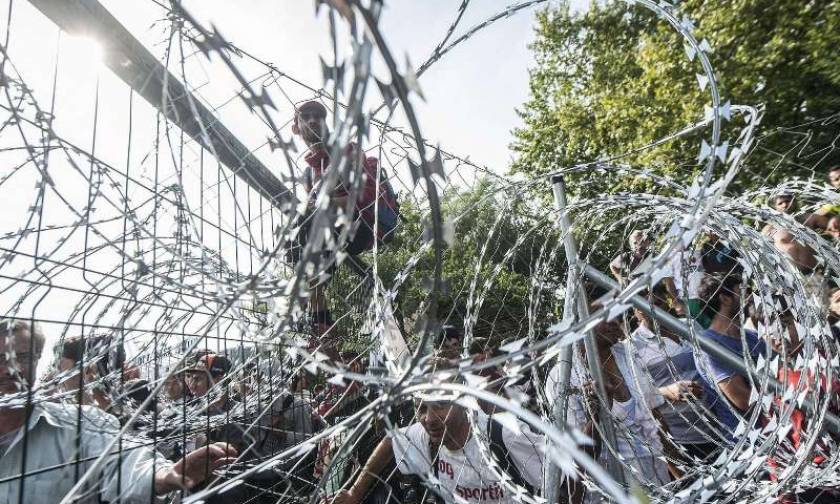 Σλοβενία: Ξεκίνησε η τοποθέτηση φράχτη στα σύνορα με την Κροατία