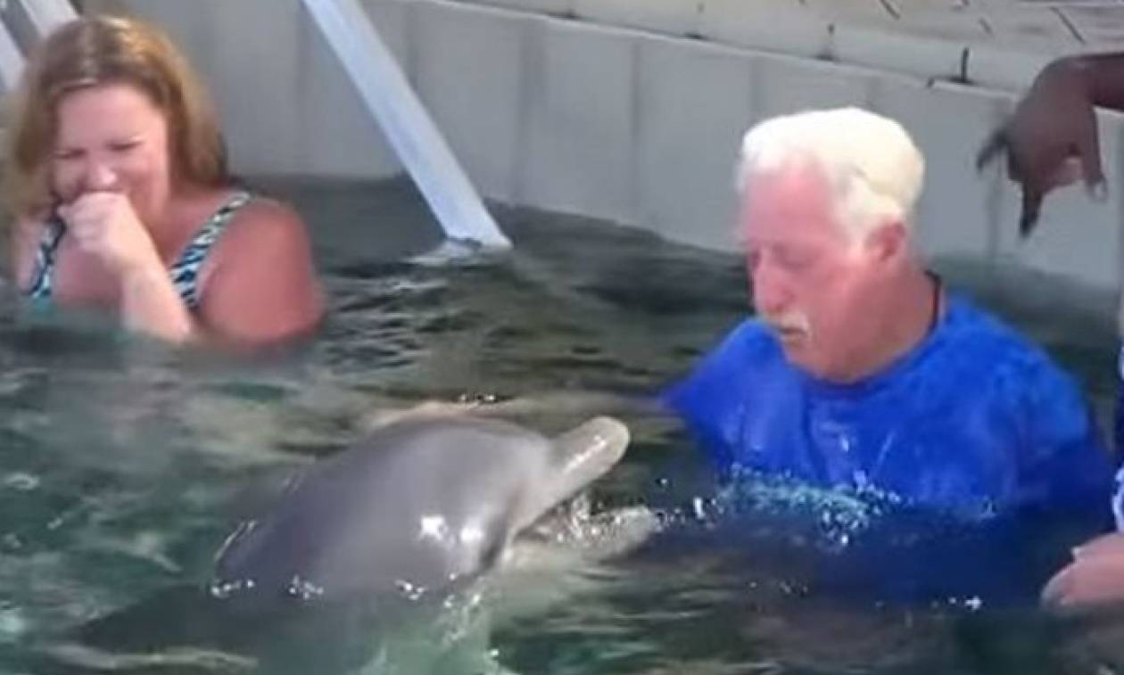 Έτσι παίζουν… μπουγέλο τα δελφίνια με τους ανθρώπους! (video)