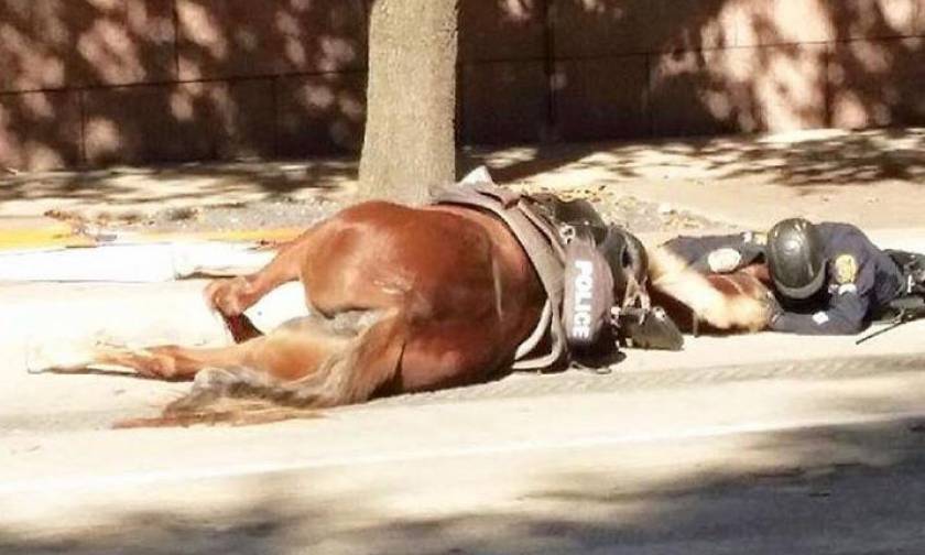 Το βίντεο που έχει «λυγίσει» το διαδίκτυο: Αστυνομικός παρηγορεί το άλογό του που ξεψυχά