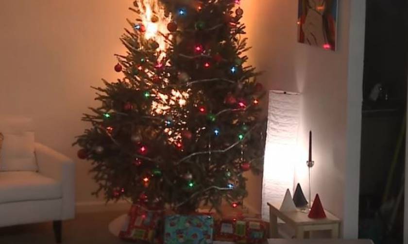 Απίστευτο! Πόσα δευτερόλεπτα χρειάζονται για να «λαμπαδιάσει» ένα Χριστουγεννιάτικο δέντρο;