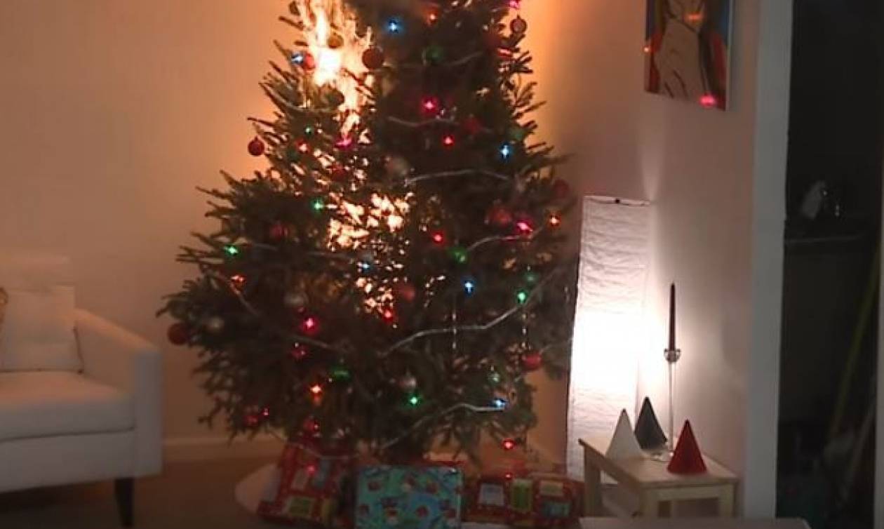 Απίστευτο! Πόσα δευτερόλεπτα χρειάζονται για να «λαμπαδιάσει» ένα Χριστουγεννιάτικο δέντρο;