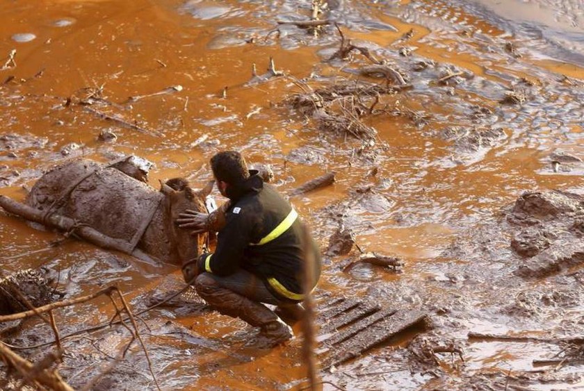 Άνδρας προσπαθεί να σώσει το άλογο, Βραζιλία 6 Νοεμβρίου 2015 
