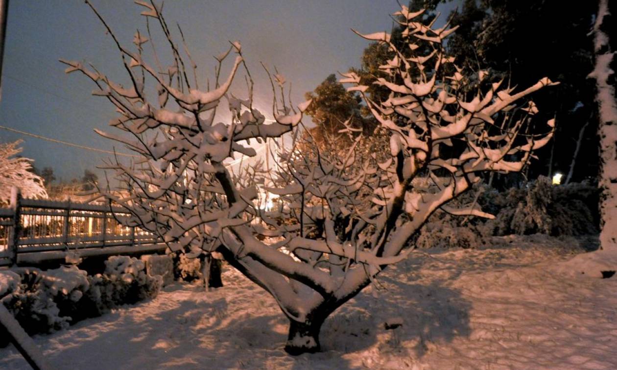Βαρυχειμωνιά προ των πυλών… Θα χιονίσει και στην Αθήνα την Πέμπτη