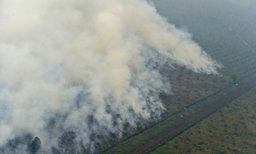 Ινδονησία: Κυρώσεις σε 23 εταιρείες για την πρόκληση πρωτοφανών δασικών πυρκαγιών (pic)