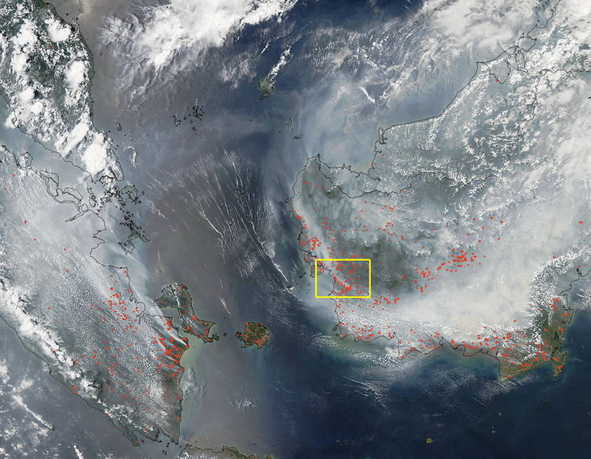 Ινδονησία: Κυρώσεις σε 23 εταιρείες για την πρόκληση πρωτοφανών δασικών πυρκαγιών (pic)