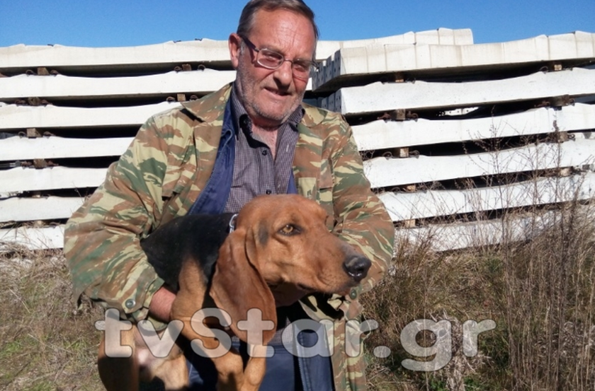 Λαμία: Έσωσαν κυνηγόσκυλο που είχε παγιδευτεί σε εργοτάξιο! (pics&vid)