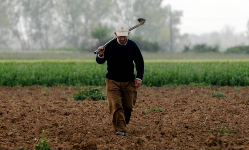 ΟΠΕΚΕΠΕ: Πότε θα δοθούν οι επιδοτήσεις στους αγρότες