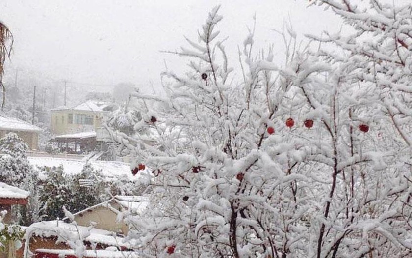 Στα άσπρα η Κύπρος, χιόνισε ακόμα και στη Λευκωσία (pics)