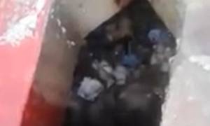 Φρίκη: Νεογέννητο βρέθηκε ζωντανό μέσα σε δημόσια τουαλέτα (σκληρές εικόνες)