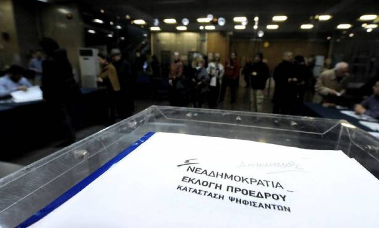 Αποτελέσματα εκλογών ΝΔ: Νίκη Μητσοτάκη σε Θεσπρωτία και Ιωάννινα