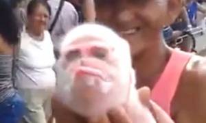 Το πιο απόκοσμο πλάσμα: Γεννήθηκε γουρούνι με πρόσωπο… μαϊμούς! (video)