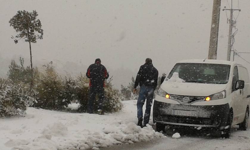 Καιρός: Σφοδρό κύμα κακοκαιρίας σαρώνει τη χώρα – Πότε ξεκινά η επέλαση του χιονιά
